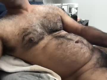 wildhungry