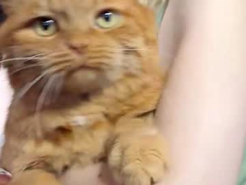  caramel milk 