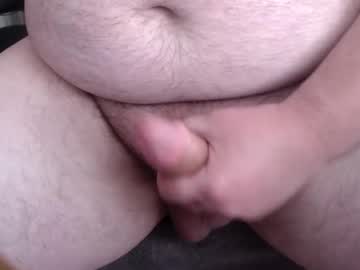 bear18402