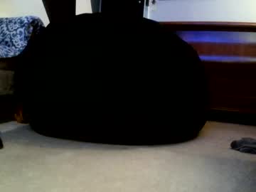kittenkatch