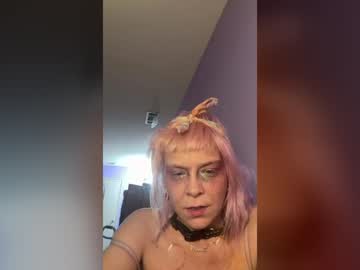 kittykat7613