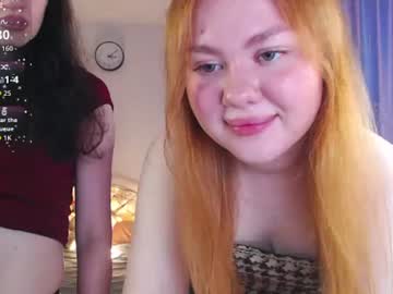koshechka sobac