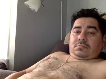 perro2010joshua
