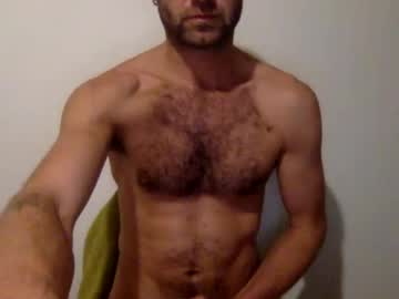 red cat 93