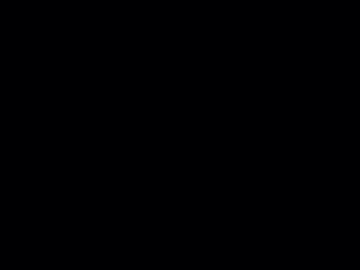 thekrisisingomo