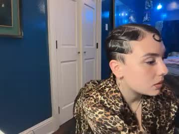 viiperthevixen