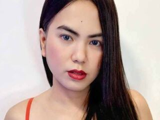 dhanikakantuter